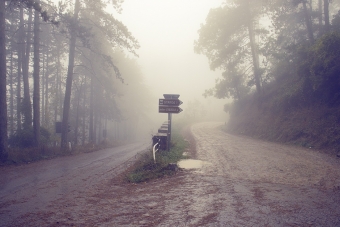 El camino de la recuperación