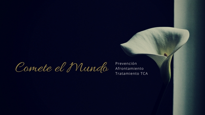 Evolución proyecto Cómete el Mundo 2017 y Retos 2018